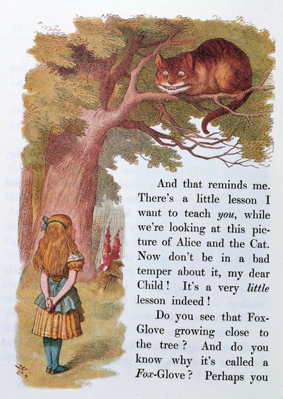 爱丽丝和柴郡猫，来自&39;爱丽丝梦游仙境&39;的插图，于1889年在伦敦出版 作者 艾米丽·格特鲁德·汤姆森（Emily Gertrude Thomson）